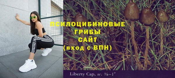 соль ск Видное