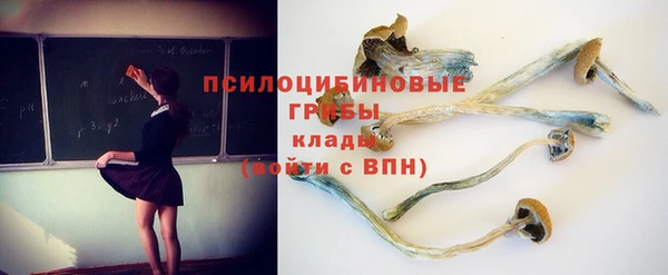 2c-b Абдулино
