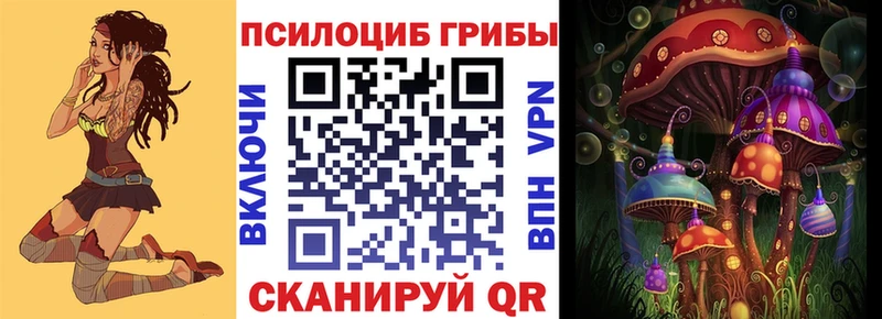 где можно купить наркотик  Костомукша  Псилоцибиновые грибы MAGIC MUSHROOMS 